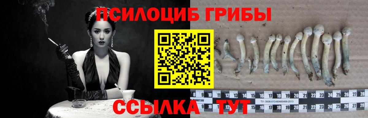 Абакан  Галлюциногенные грибы прущие грибы  Вход с VPN 